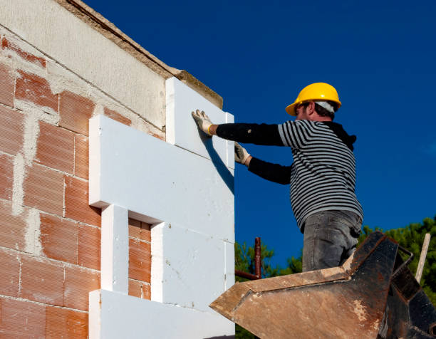 Best Cellulose Insulation  in Andrews, NC