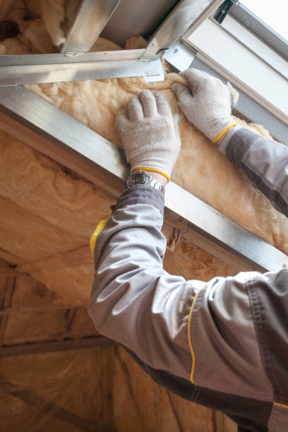 Best Insulation Replacement Services  in Andrews, NC