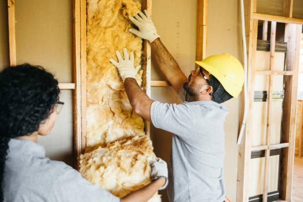 Best Insulation Repair Services  in Andrews, NC