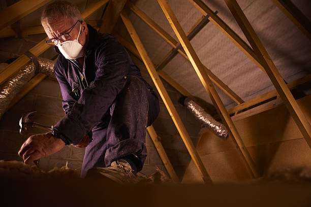Best Insulation Contractors for Homes  in Andrews, NC