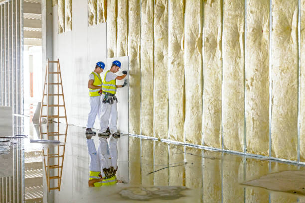Best Insulation Removal  in Andrews, NC